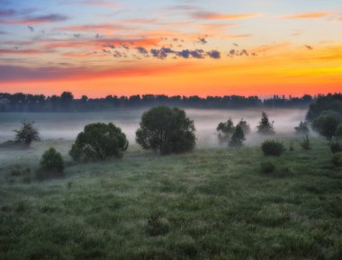 bahar sabah pitoresk Nehri Vadisi. bahar sis