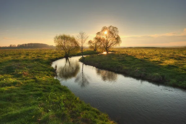 Frühlingstal Des Malerischen Flusses Frühjahrsnebel — Stockfoto