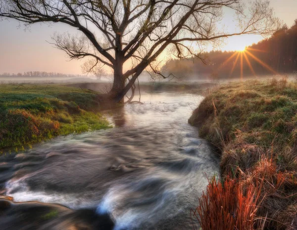 Rano Wiosna Dolina Rzeki Wiosenne Mgły — Zdjęcie stockowe