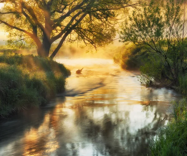 Весняна Ранкова Долина Мальовничої Річки Весняний Туман — стокове фото