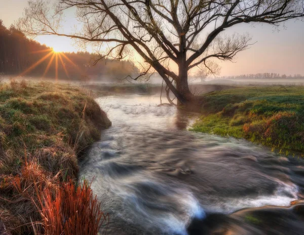 Rano Wiosna Dolina Rzeki Mglisty Świt — Zdjęcie stockowe