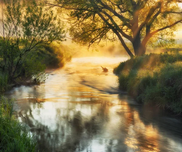美しい川の春の朝谷 霧の夜明け — ストック写真