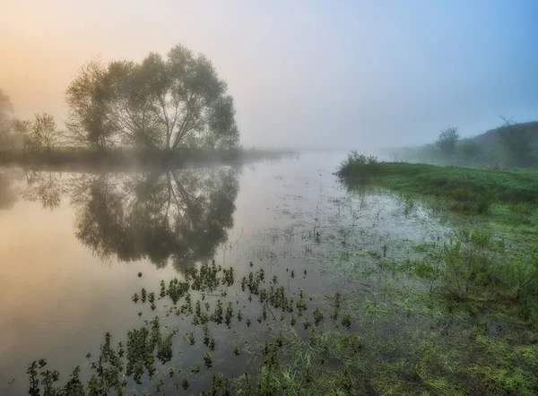 春天早晨山谷风景如画的河流 雾蒙蒙的黎明 — 图库照片