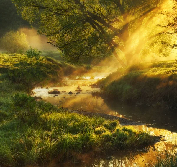 春天早晨山谷风景如画的河流 雾蒙蒙的黎明 — 图库照片