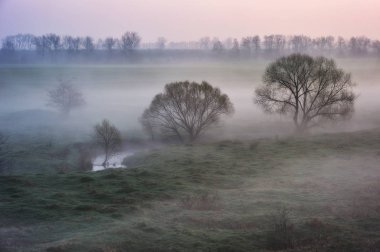 pitoresk bahar sabahı. sabah nehir. doğal şafak