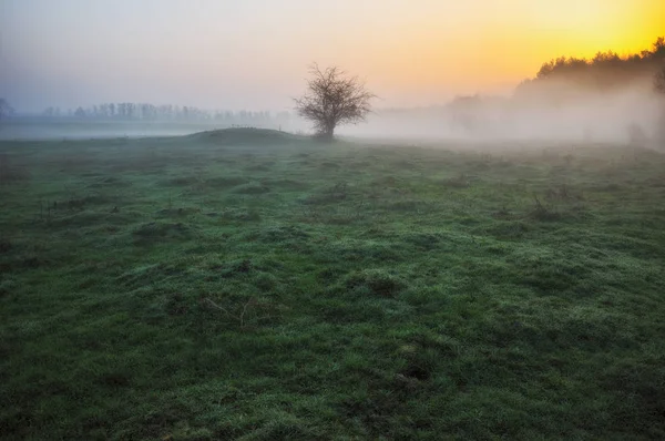 Malerischer Frühlingsmorgen Morgenfluss Landschaftliche Dämmerung — Stockfoto
