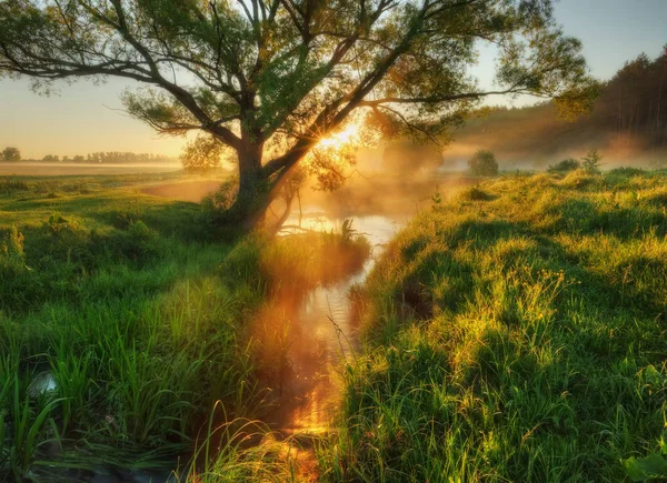 Живописное Весеннее Утро Утренняя Река Сценический Даун — стоковое фото