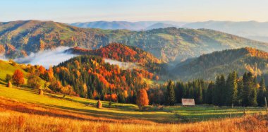 Sonbahar gündoğumu Karpat Dağları'nda. Sisli sabah