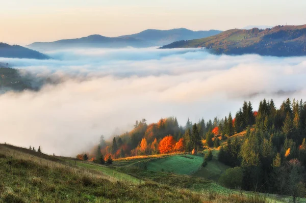 Lever Soleil Automne Dans Les Carpates Matin Brumeux — Photo