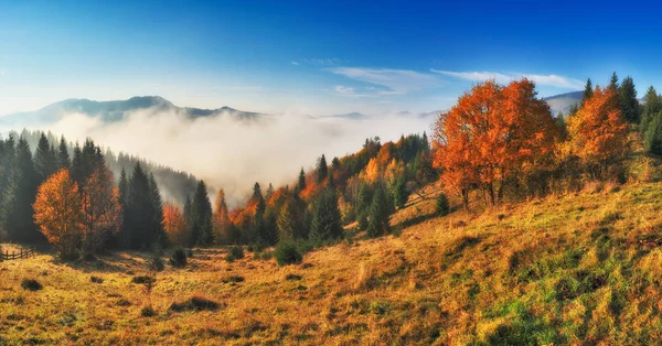 カルパティア山脈の秋の日の出 霧の朝 — ストック写真