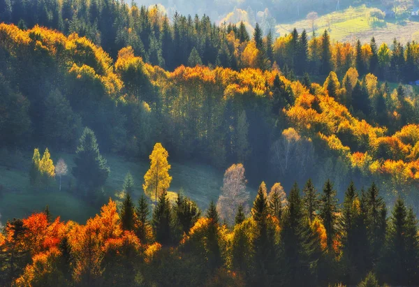 Autumn Evening Carpathian Mountains Scenic Sunset — Stock Photo, Image