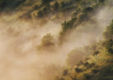 Bahar sis nehir kanyonun üzerinden. doğal şafak