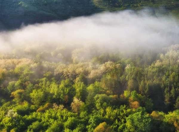 Spring fog over the river canyon. scenic dawn