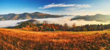 Karpat Dağlarında sonbahar gündoğumu. Sisli sabah. güzel şafak