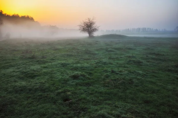 Vårmorgon Naturs Kön Sol Uppgång Dimmiga Dalen Dimmigt Morgon — Stockfoto