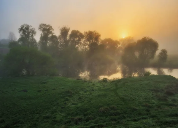 Vårmorgon Naturs Kön Sol Uppgång Dimmiga Dalen Dimmigt Morgon — Stockfoto