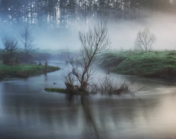 Sisli vadide bahar sabahı doğal gündoğumu. Sisli sabah