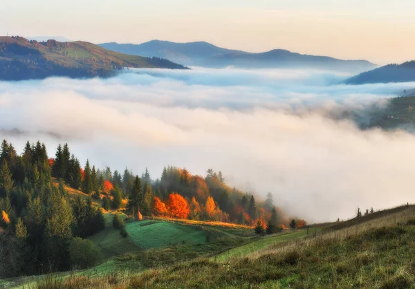 Herbstsonnenaufgang Den Karpaten Nebliger Morgen Landschaftliche Dämmerung — Stockfoto