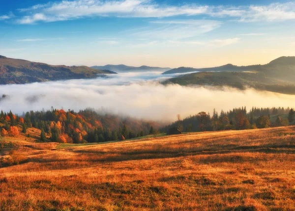 Jesienny Wschód Słońca Karpatach Mglisty Poranek Sceniczny Świt — Zdjęcie stockowe