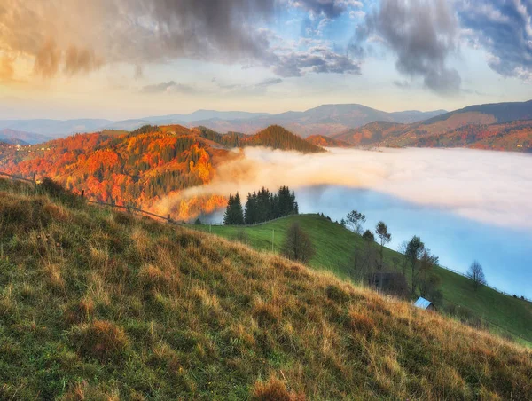 Herbstsonnenaufgang Den Karpaten Nebliger Morgen Landschaftliche Dämmerung — Stockfoto