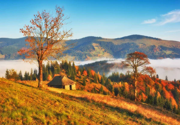 Herbstsonnenaufgang Den Karpaten Nebliger Morgen Landschaftliche Dämmerung — Stockfoto