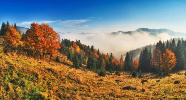 Autumn Sunrise Carpathian Mountains Foggy Morning Scenic Dawn — Stock Photo, Image