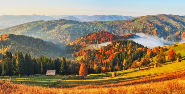 Podzimní Východ Slunce Karpatských Horách Mlhavé Ráno Malebný Úsvit — Stock fotografie