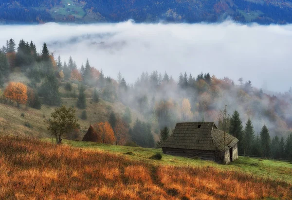 Podzimní Východ Slunce Karpatských Horách Mlhavé Ráno Malebný Úsvit — Stock fotografie