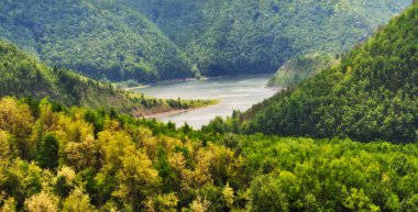bahar çayırı. pitoresk nehir Kanyonu. bahar Vadisi