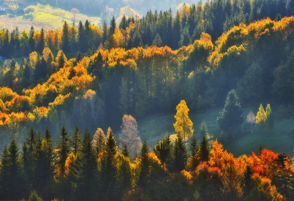 Jesienny Zachód Słońca Karpackiej Wiosce Malowniczy Wieczór — Zdjęcie stockowe