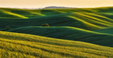tepelik alan. bir bahar alanının pitoresk tepeler. bahar tepeleri