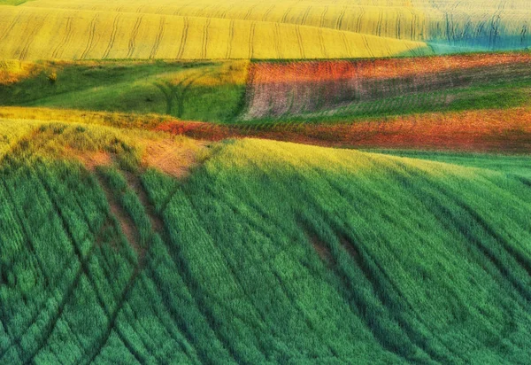 Campo Montañoso Pintorescas Colinas Campo Primavera Colinas Primavera — Foto de Stock