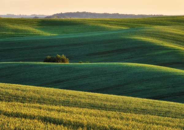 Heuvelachtig Gebied Pittoreske Heuvels Van Een Lente Veld Lente Hills — Stockfoto