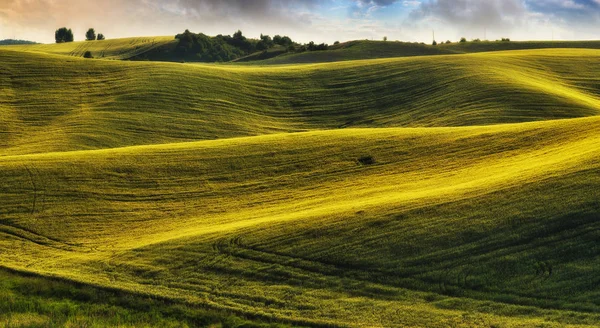 Hilly Field Collines Pittoresques Champ Printemps Collines Printanières — Photo