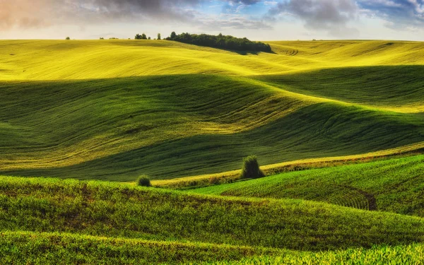 Campo Collinare Colline Pittoresche Campo Primavera Colline Primaverili — Foto Stock