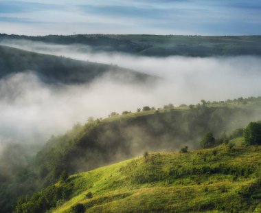 bahar sabahı. pitoresk nehir Kanyonu. bahar Şafağı