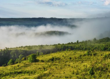 bahar sabahı. pitoresk nehir Kanyonu. bahar Şafağı