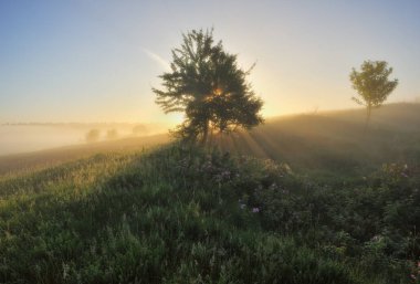 bahar sabahı. nehir vadisinde sisli gündoğumu. pitoresk sabah