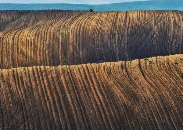tepelik alan. Sonbahar alanı pitoresk tepeler. Sonbahar gündoğumu