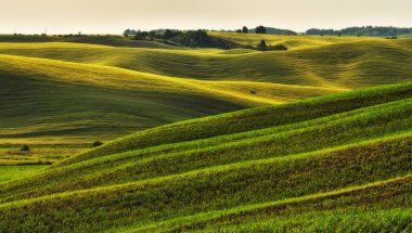 tepelik alan. pitoresk tepeler. bahar alan soyut
