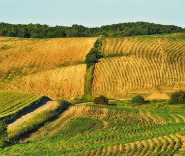 tepelik alan. pitoresk tepeler. bahar alan soyut
