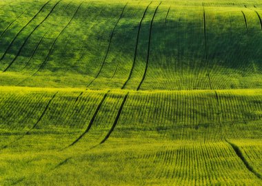 tepelik alan. pitoresk tepeler. bahar alan soyut