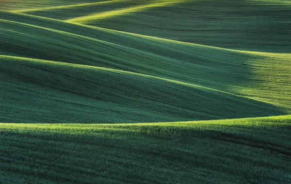 Campo Montanhoso Colinas Pitorescas Abstrato Primavera Campo — Fotografia de Stock