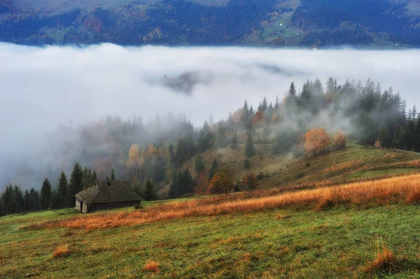 Podzimní Ráno Mlhavé Svítání Karpatských Horách Malebné Ráno — Stock fotografie