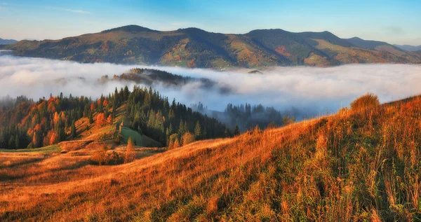 Sonbahar Sabahı Carpathian Dağları Nda Sisli Gündoğumu Pitoresk Sabah — Stok fotoğraf