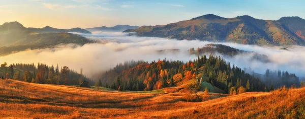 秋天的早晨 在喀尔巴泰山脉的雾蒙蒙的日出 风景如画的早晨 — 图库照片