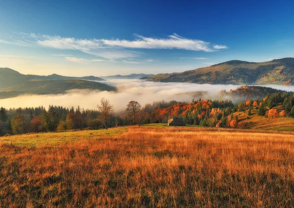 Herbstmorgen Nebliger Sonnenaufgang Den Karpaten Malerischer Morgen — Stockfoto