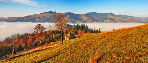 秋の朝 カルパティア山脈の霧の日の出 絵の朝 — ストック写真