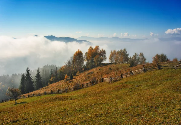 Herbstmorgen Nebliger Sonnenaufgang Den Karpaten Malerischer Morgen — Stockfoto