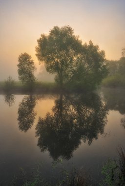 bahar sabahı. pitoresk nehir vadisinde gün doğumu. sisli sabah